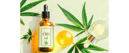 cbd oil.webp