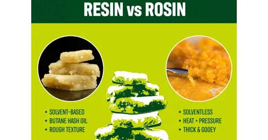 live resin and live rosin.webp