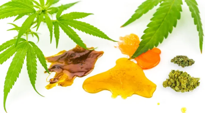 live rosin 1.webp