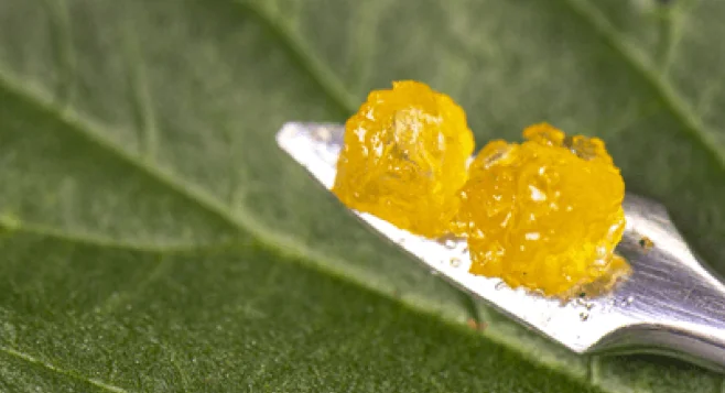 live resin 1.webp