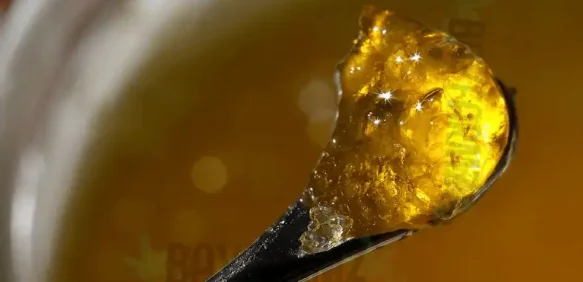 live rosin 1.webp