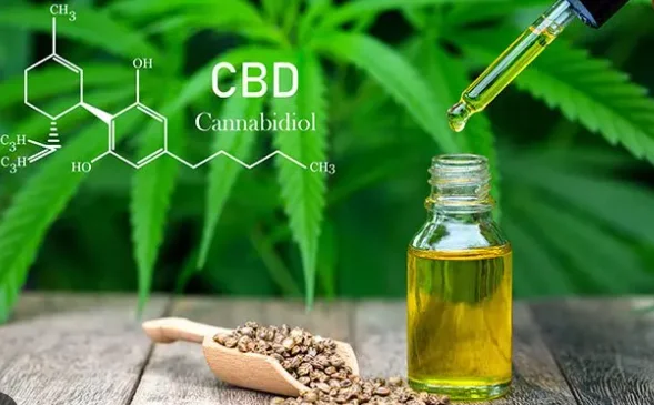 CBD oil 1.webp
