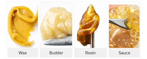 cannabis extracts.webp